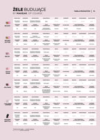 Makear HG13 Challengel Builder Gel - Pink Shimmer