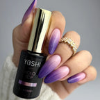 Top Holo No Wipe 10ml